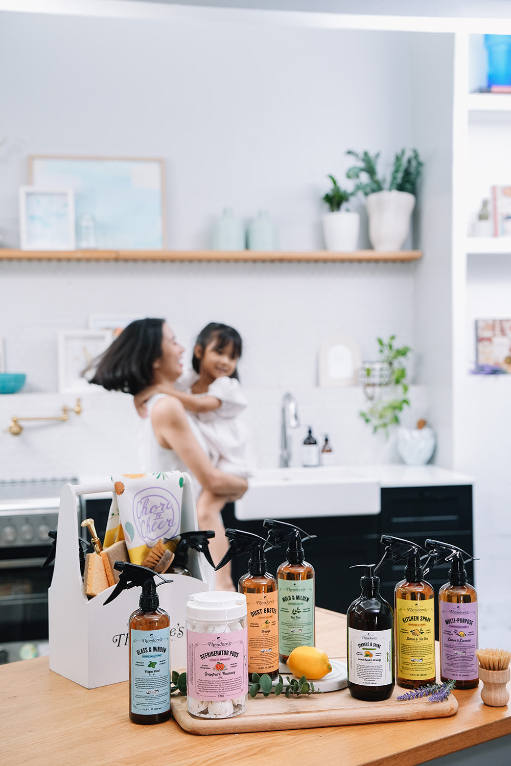 Theodores Cleaning Disinfectants 2
