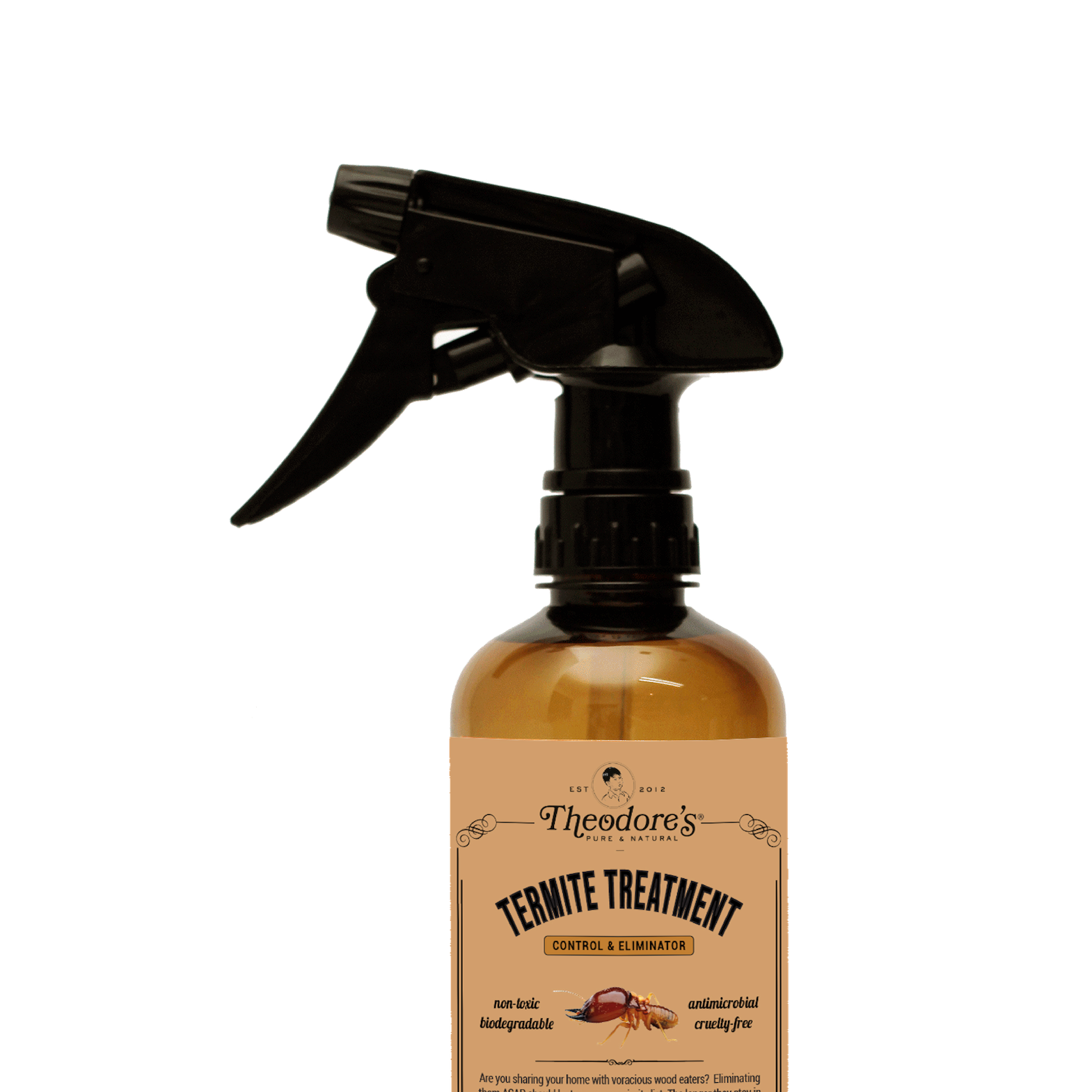 Termite Treatment