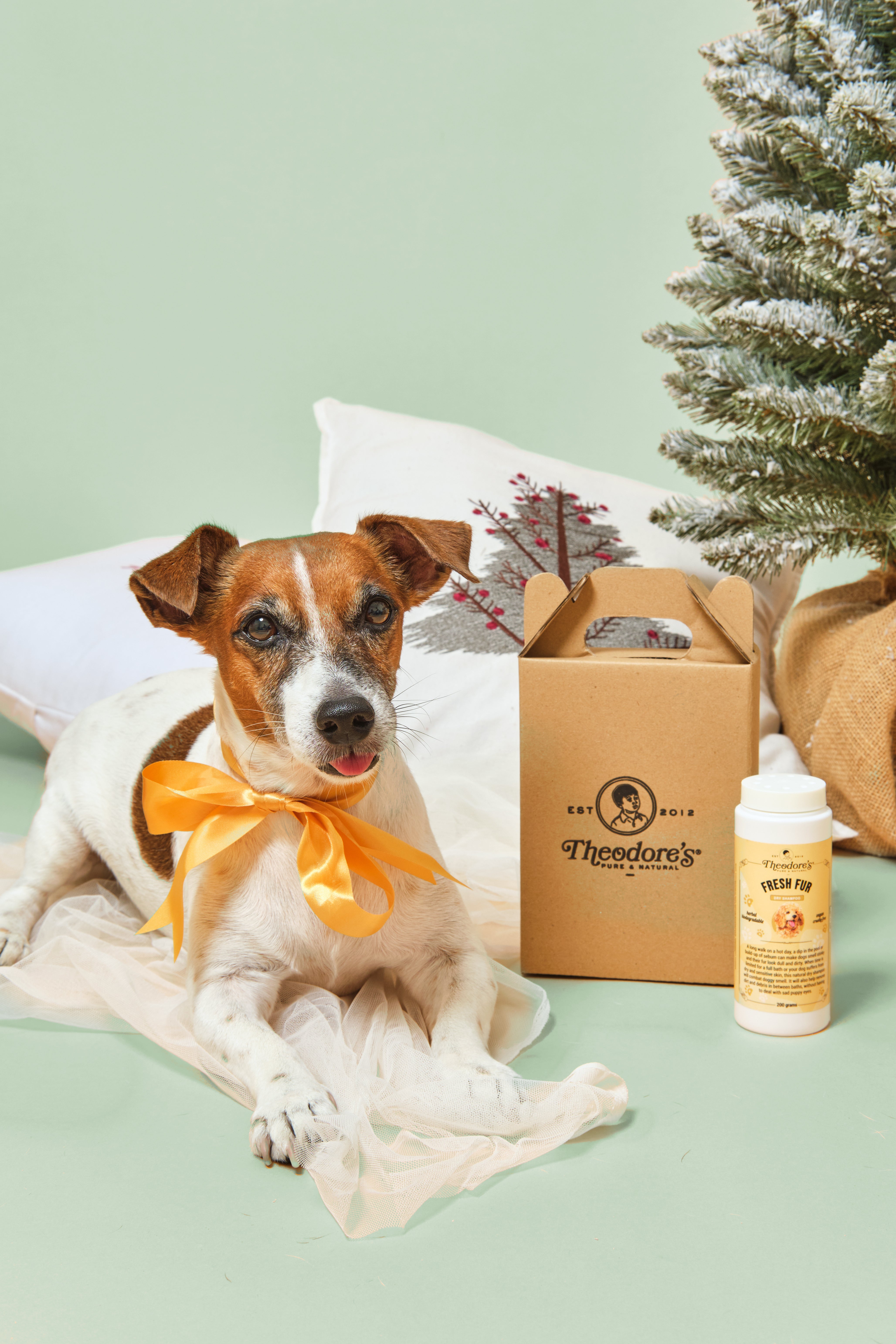 Fresh Fur (Dry Shampoo)