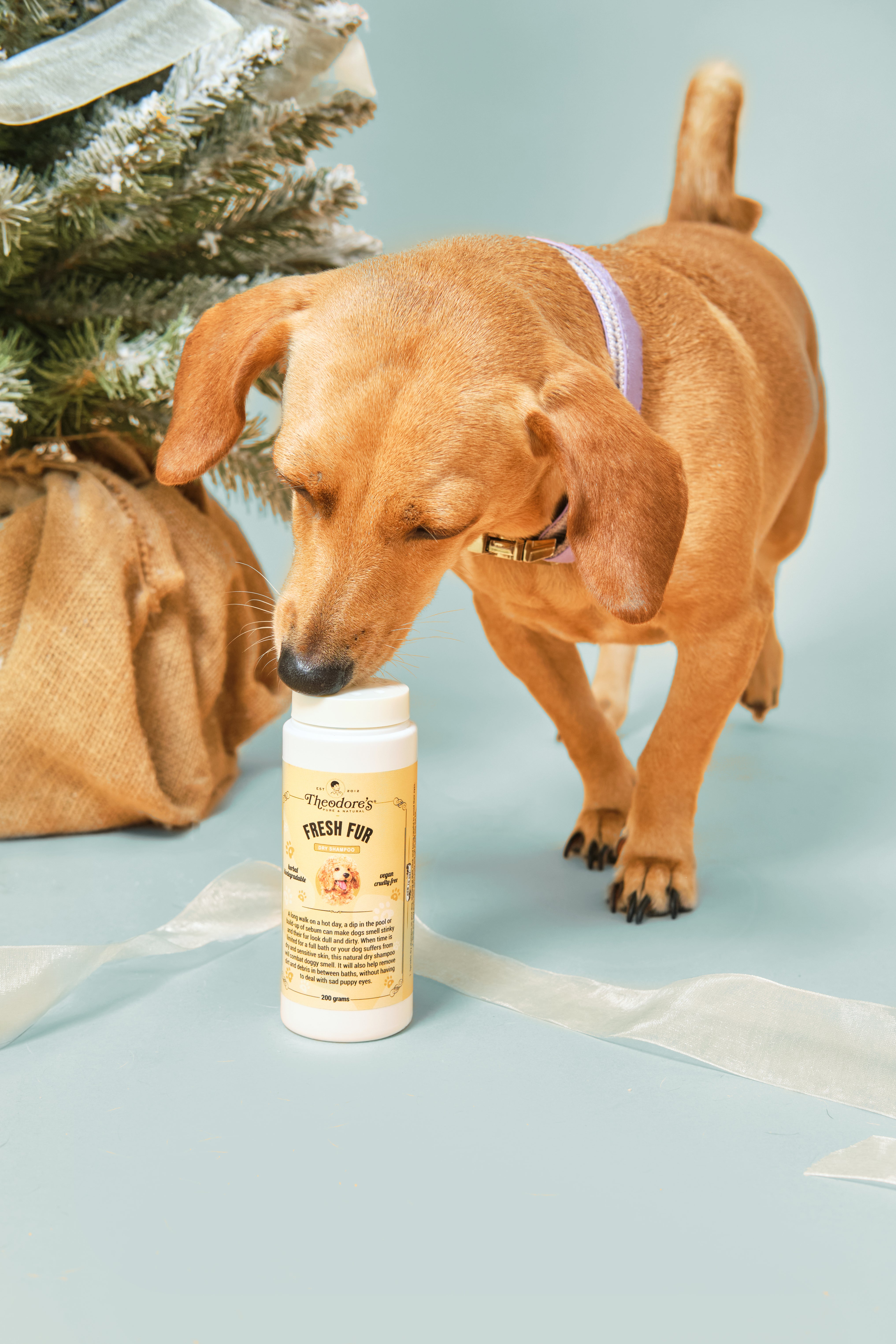 Fresh Fur (Dry Shampoo)