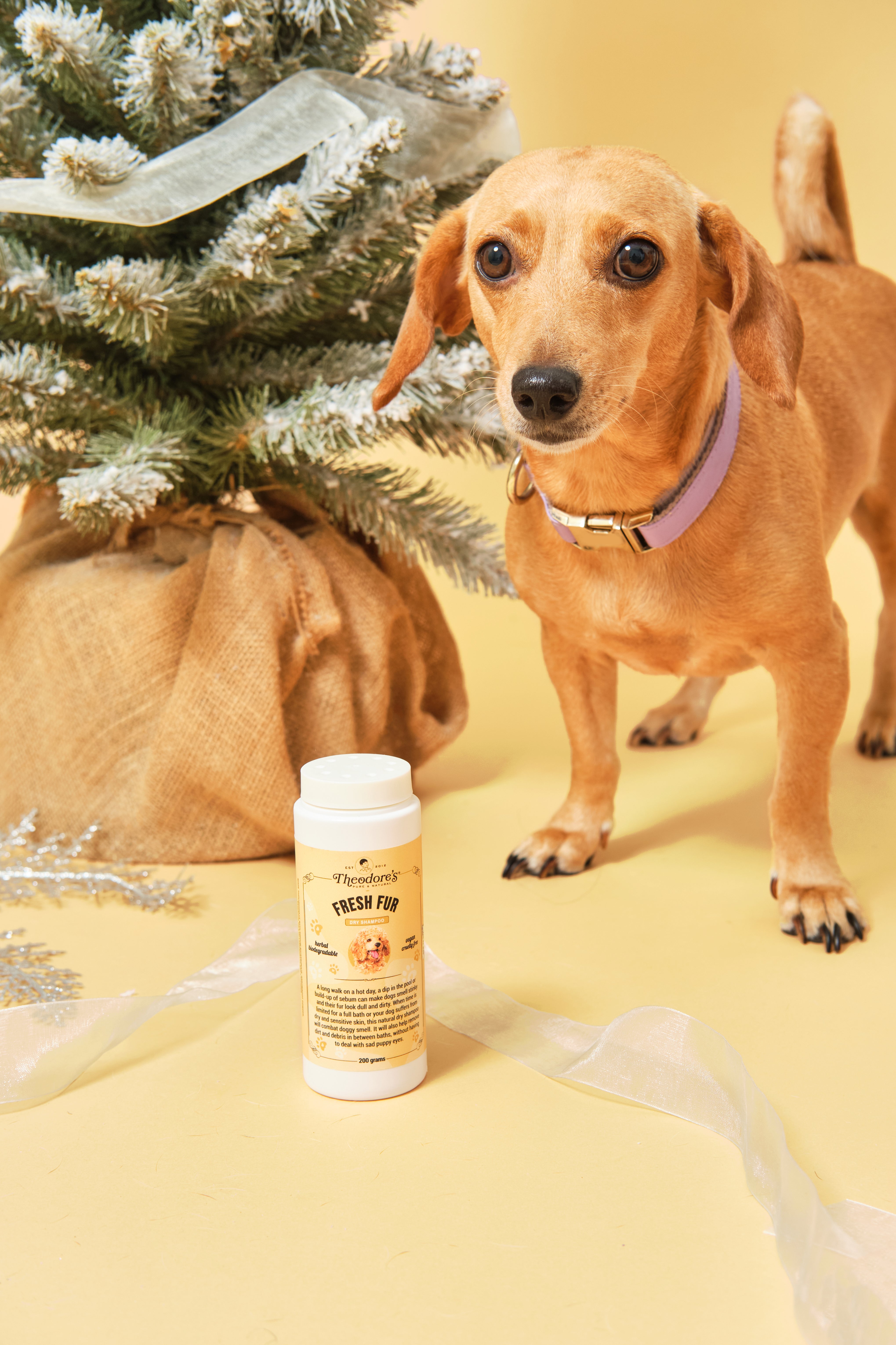 Fresh Fur (Dry Shampoo)