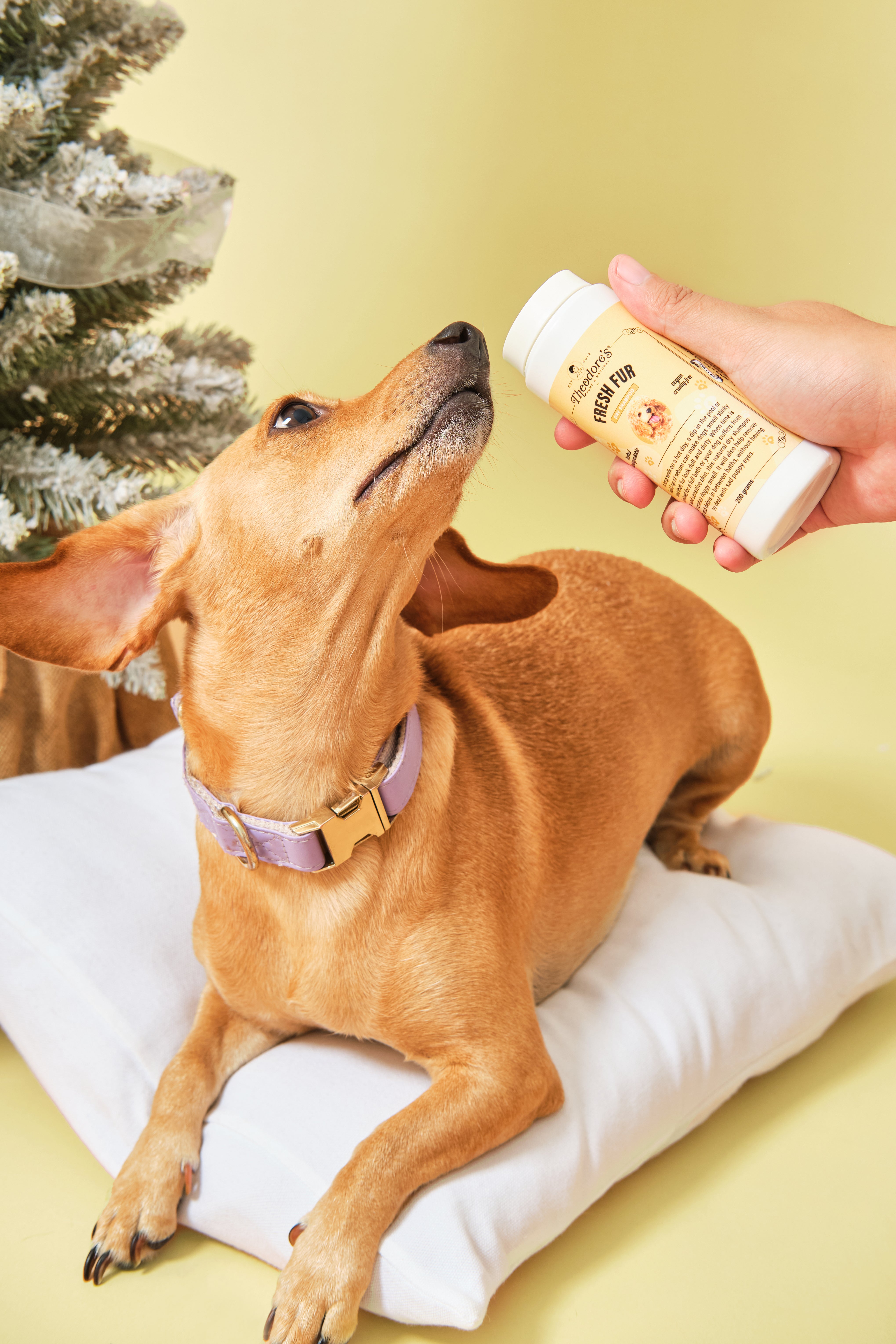 Fresh Fur (Dry Shampoo)