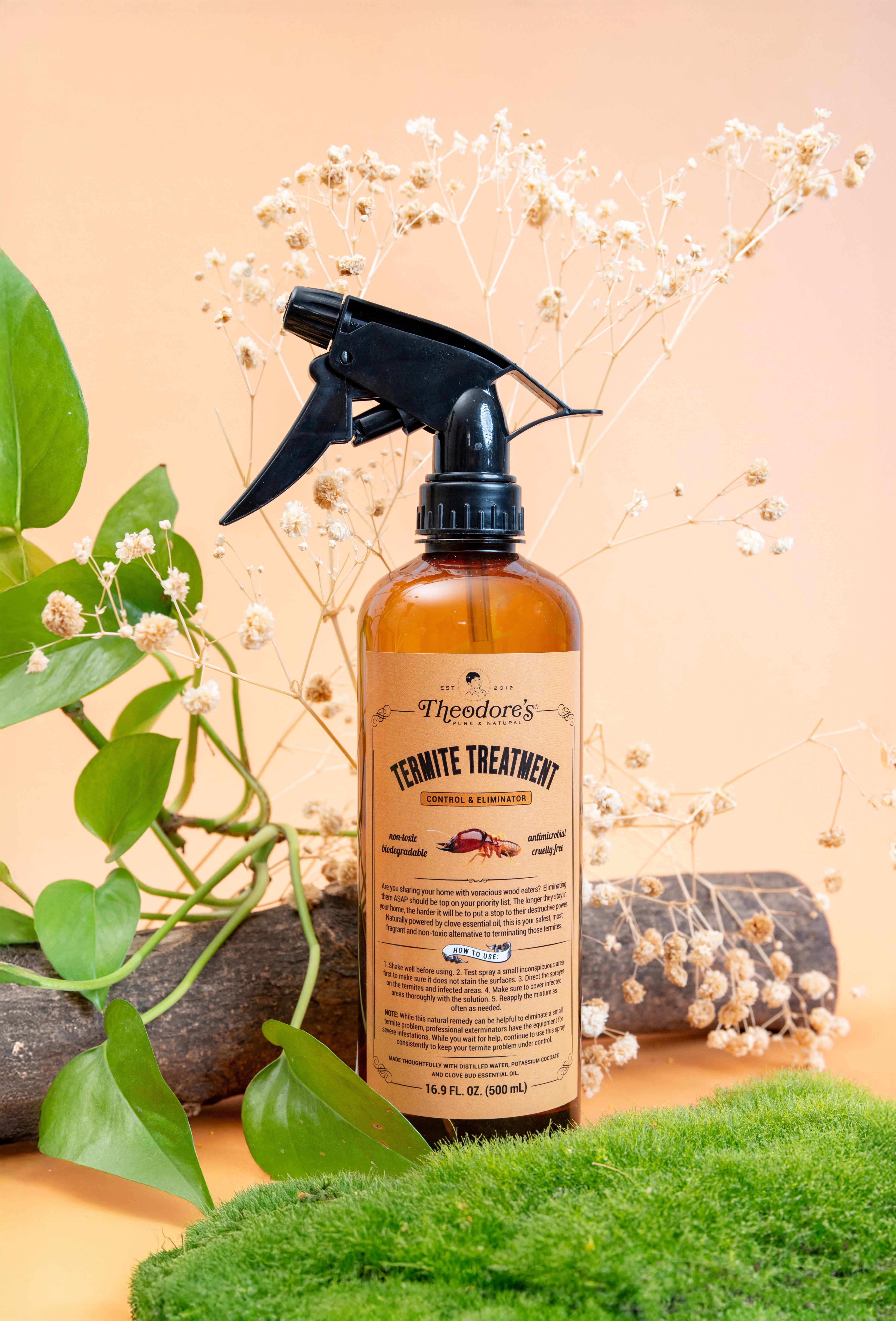 Termite Treatment