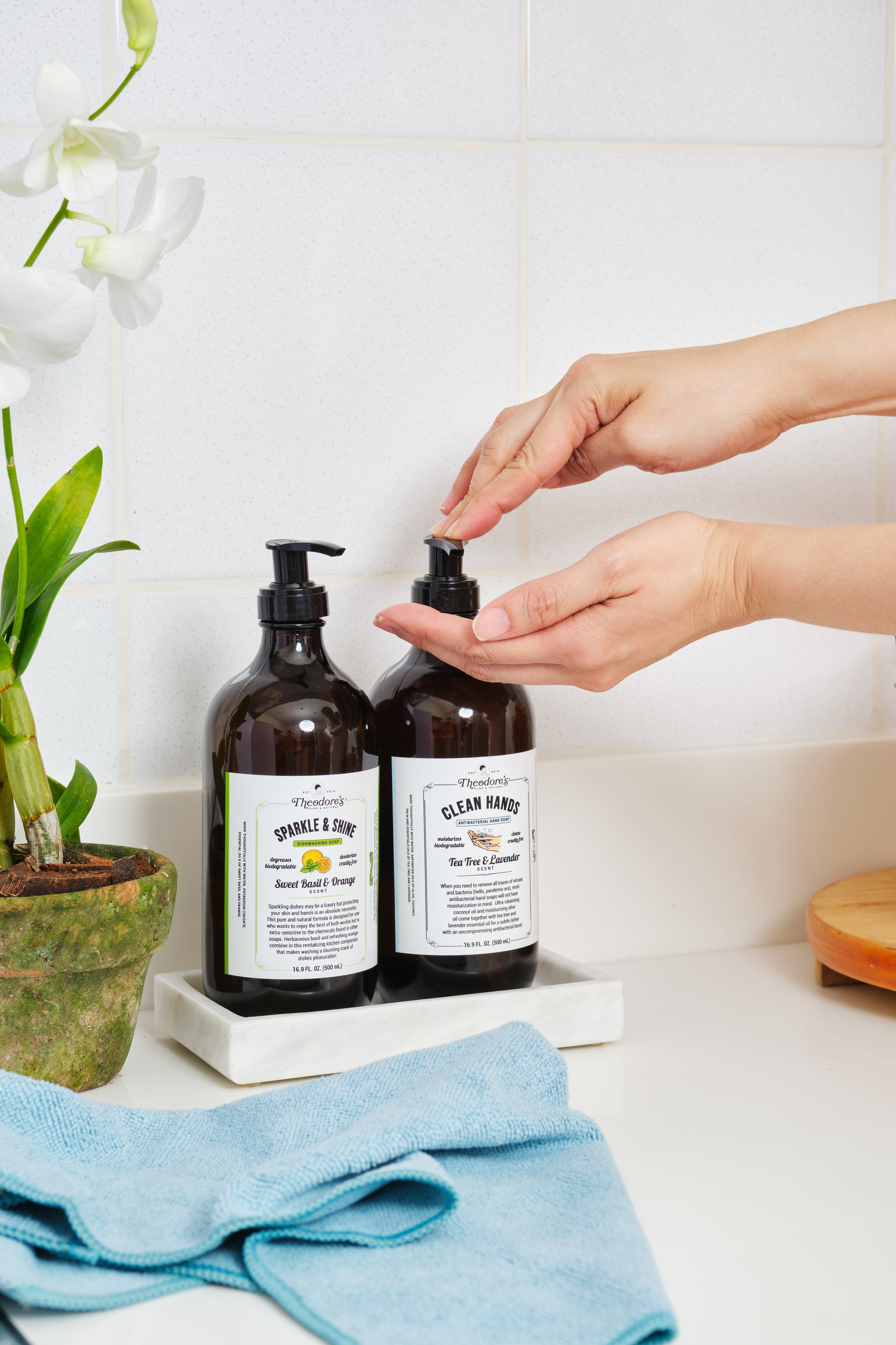 Clean Hands