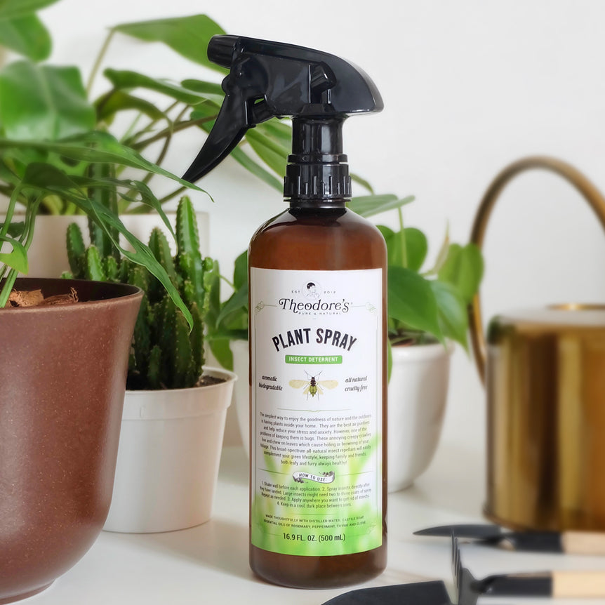 succulent insect spray Plant Spray – Theodore's Home Care