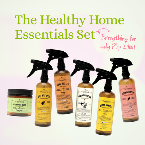 Healthy Home Essentials Set