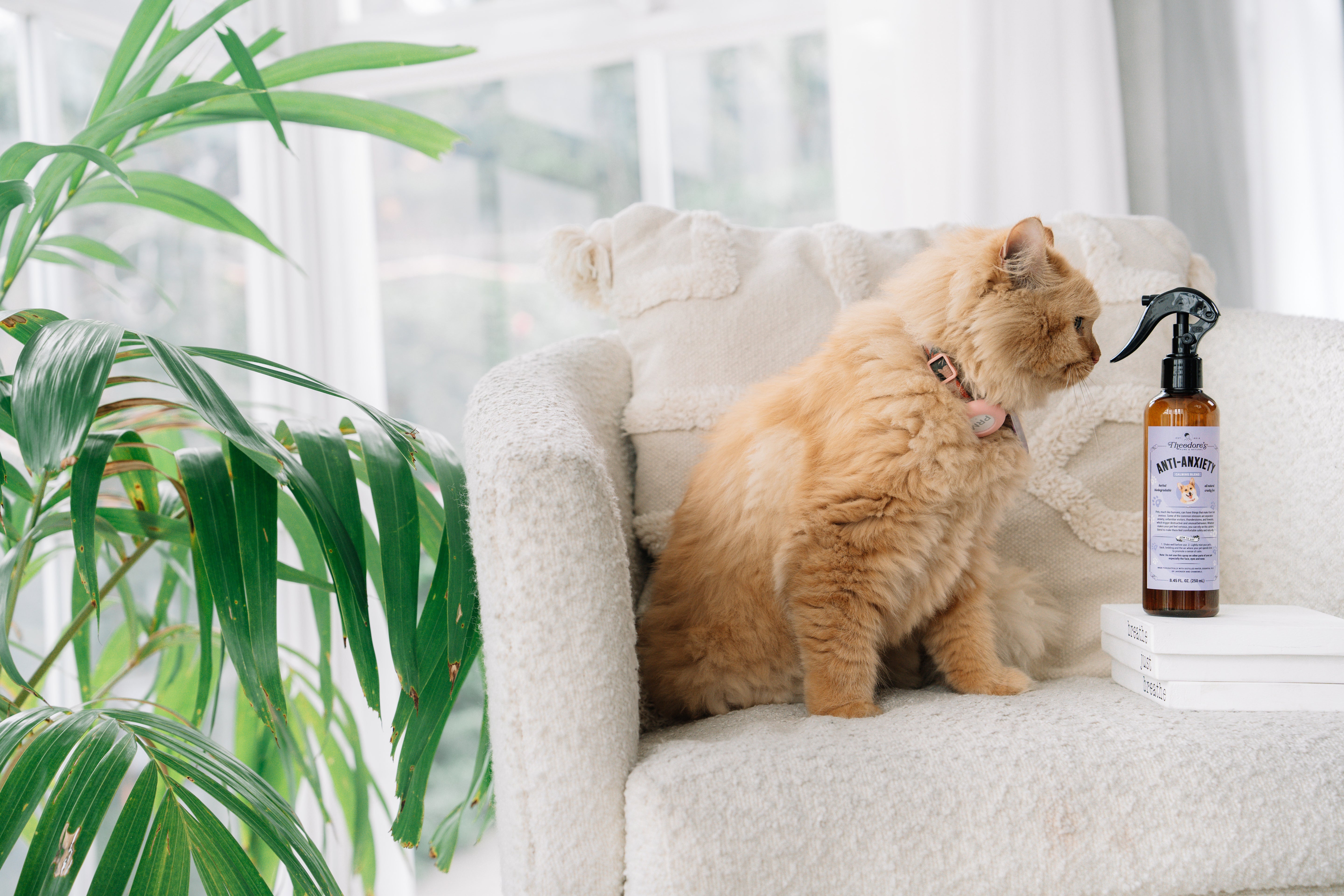 Theodores Anti Anxiety Calming Pet Spray 8