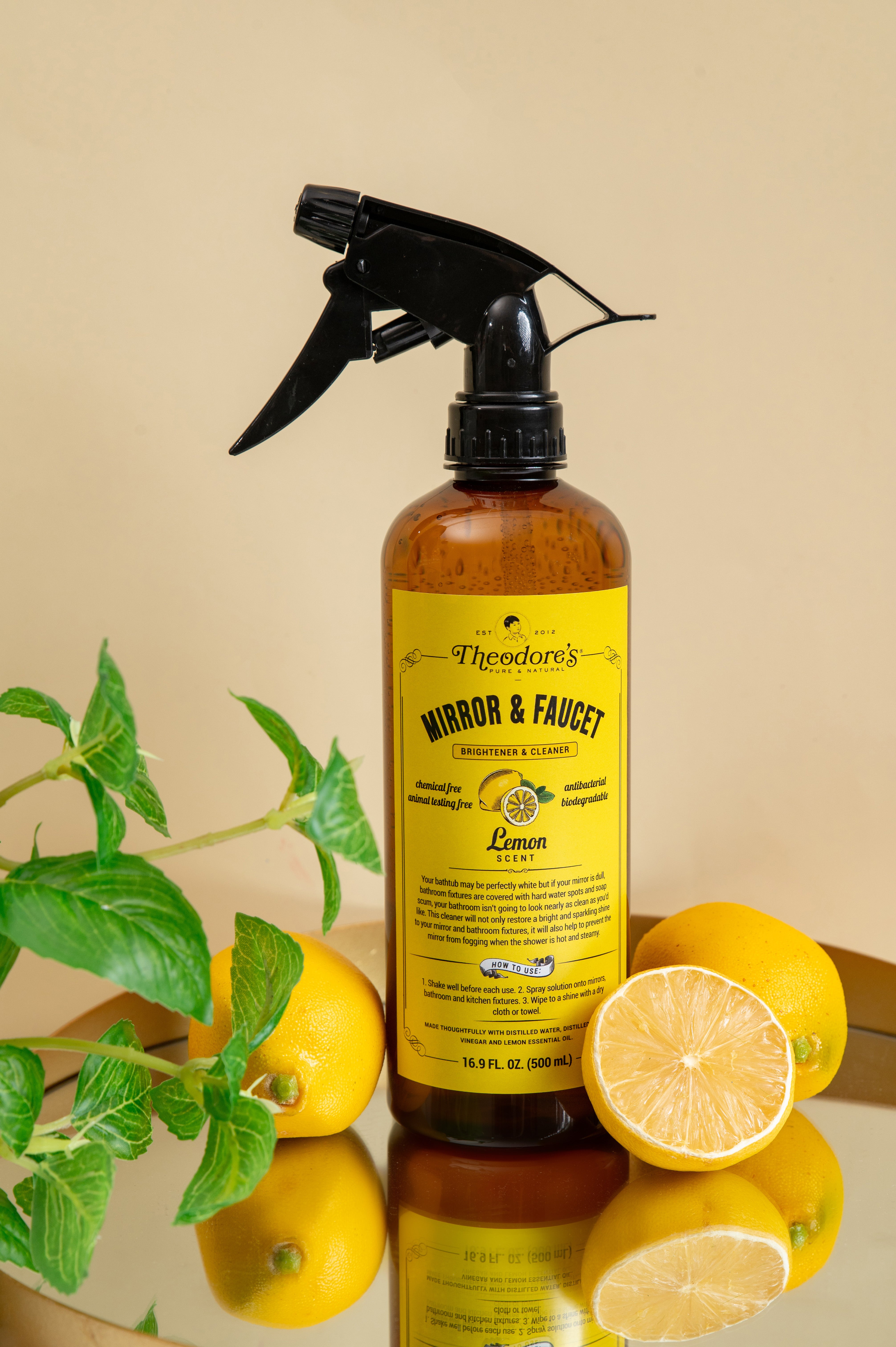 Theodores Natural Mirror Faucet Cleaner Brightener