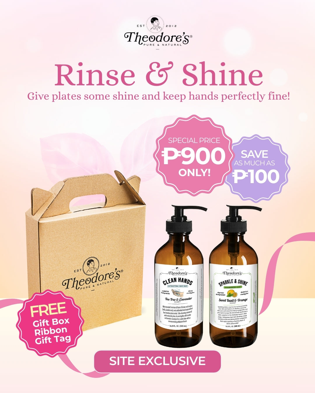 Theodores Rinse Shine Bundle