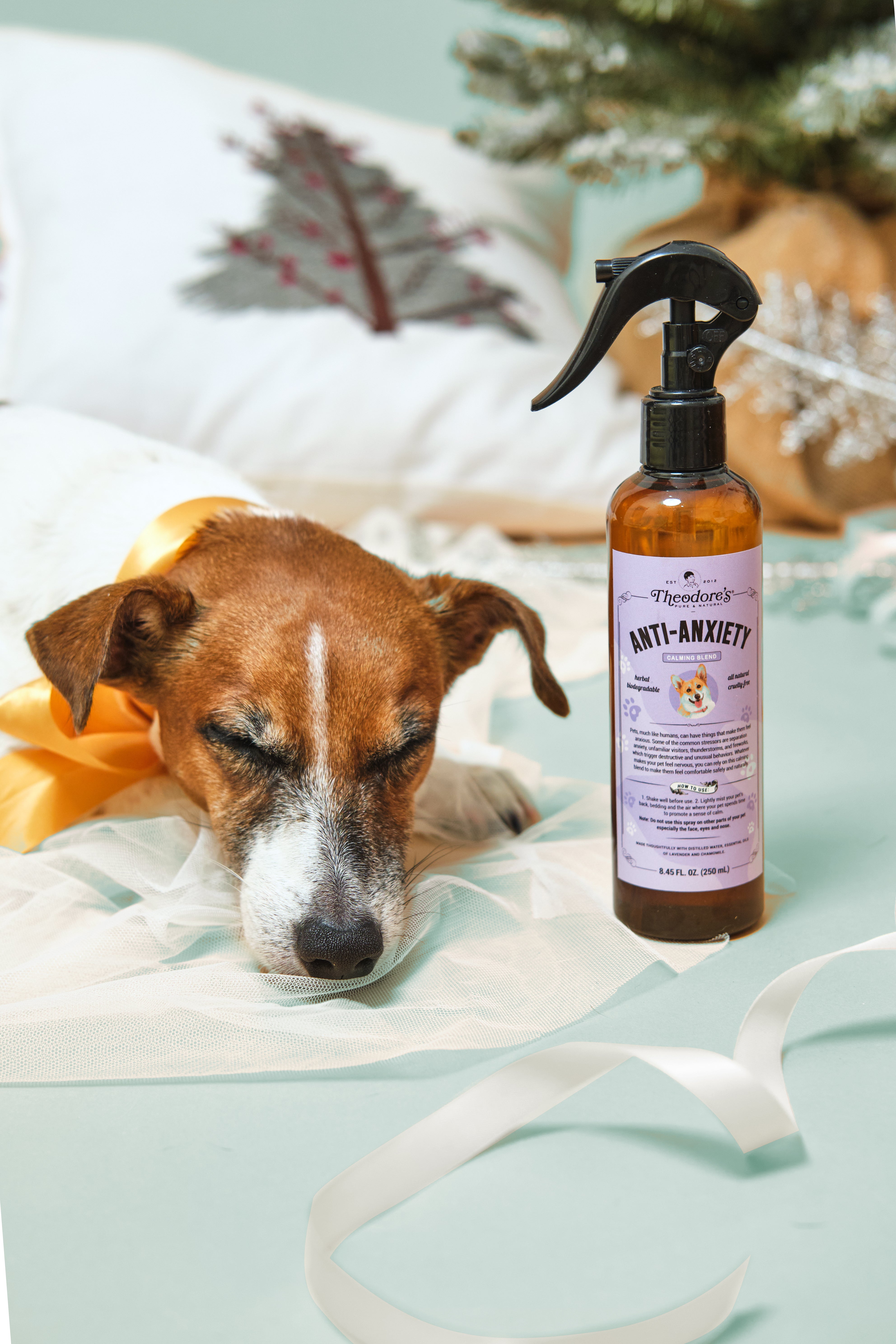 Anti-Anxiety (Calming Blend)