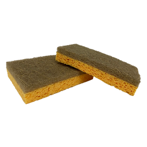 Sustainable Scouring Sponge