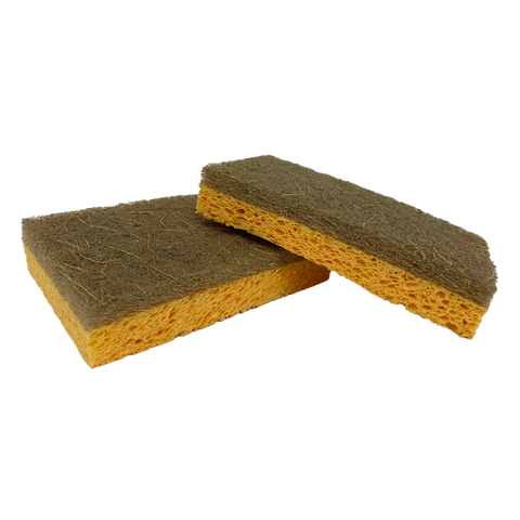 Sustainable Scouring Sponge