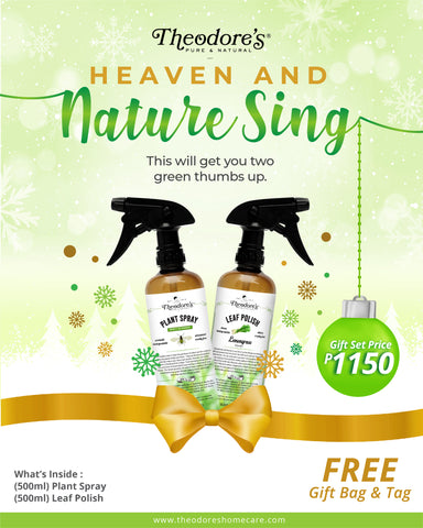 Heaven and Nature Sing