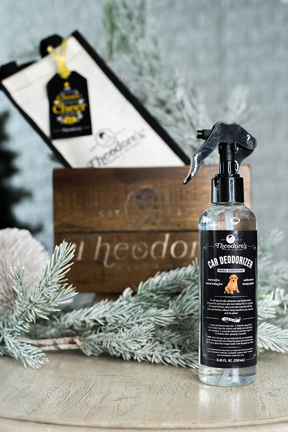 Car deodorizer online