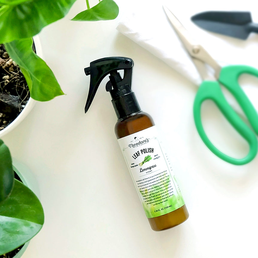 Leaf Polish Theodore's Home Care
