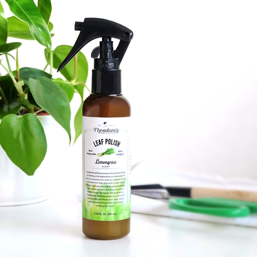 Leaf Polish Theodore's Home Care