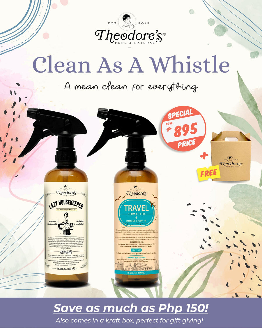Clean As A Whistle Theodore's Home Care